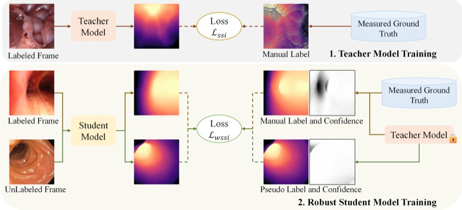 EndoOmni robust self-learning framework